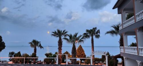 WhatsApp Image 2025-06-02 at 19.50.59 (4)