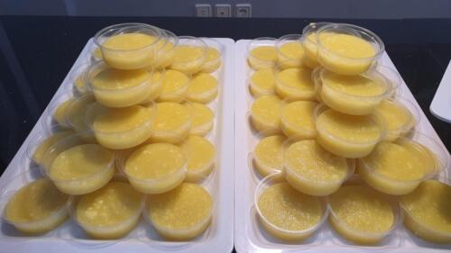 WhatsApp Image 2025-06-02 at 19.51.41 (4)